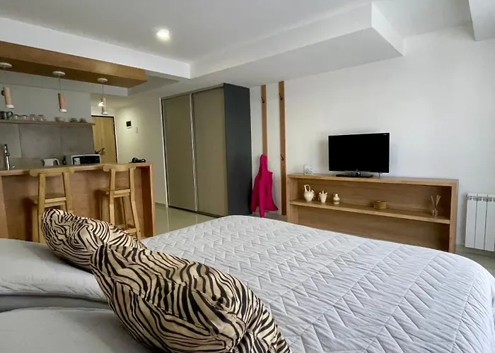 Alquiler De Monoambiente Moderno